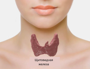 Реабилитация пациентов с заболеваниями щитовидной железы
